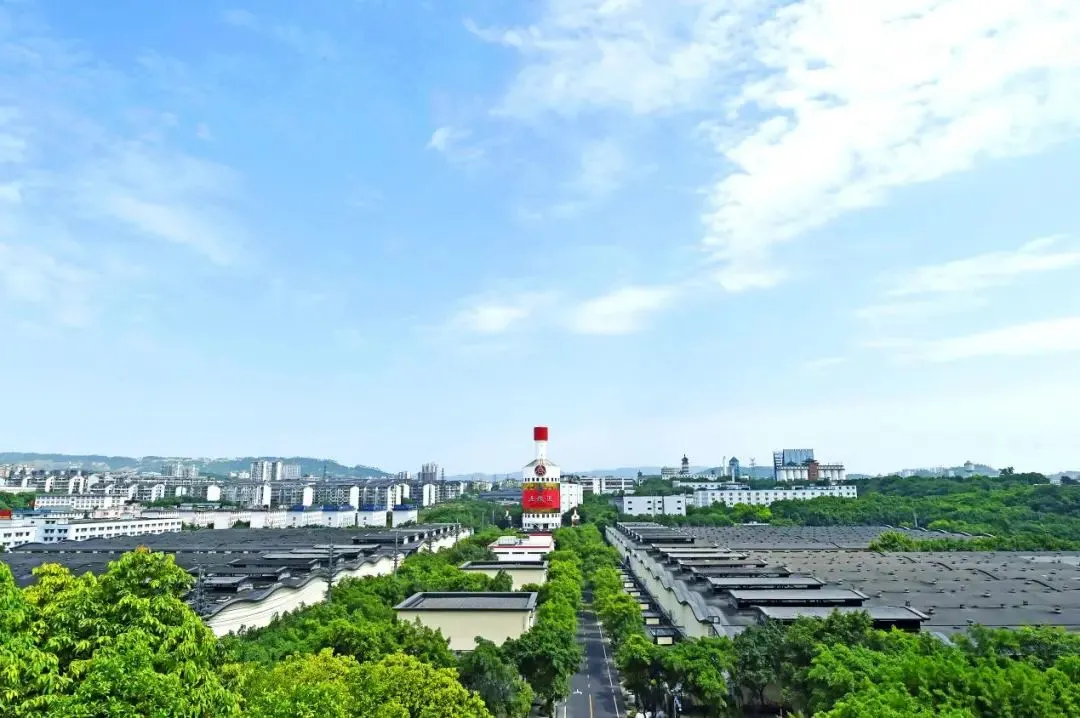 重磅!宜宾市政府组团参加第26届中国广州国际名酒展