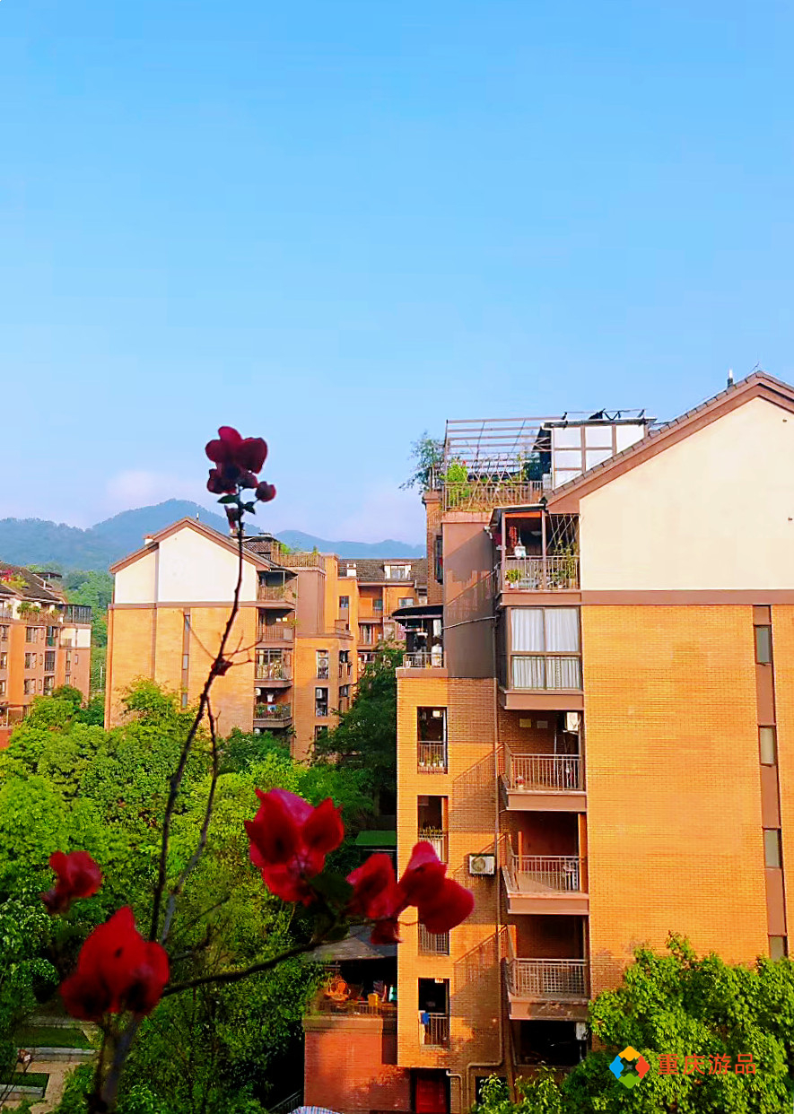 重庆小两口环游中国：不想在大学城当个体户，追求梦想从卖房开始
