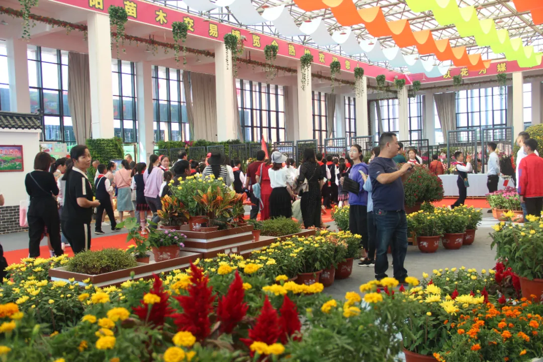 大飽眼福，第八屆中國沭陽花木節竟如此精彩！你想看的全在這里…