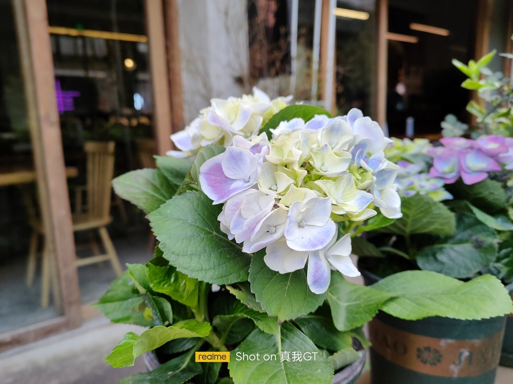 ȫ��ս�񲻸�GT֮����realme ����GT�������