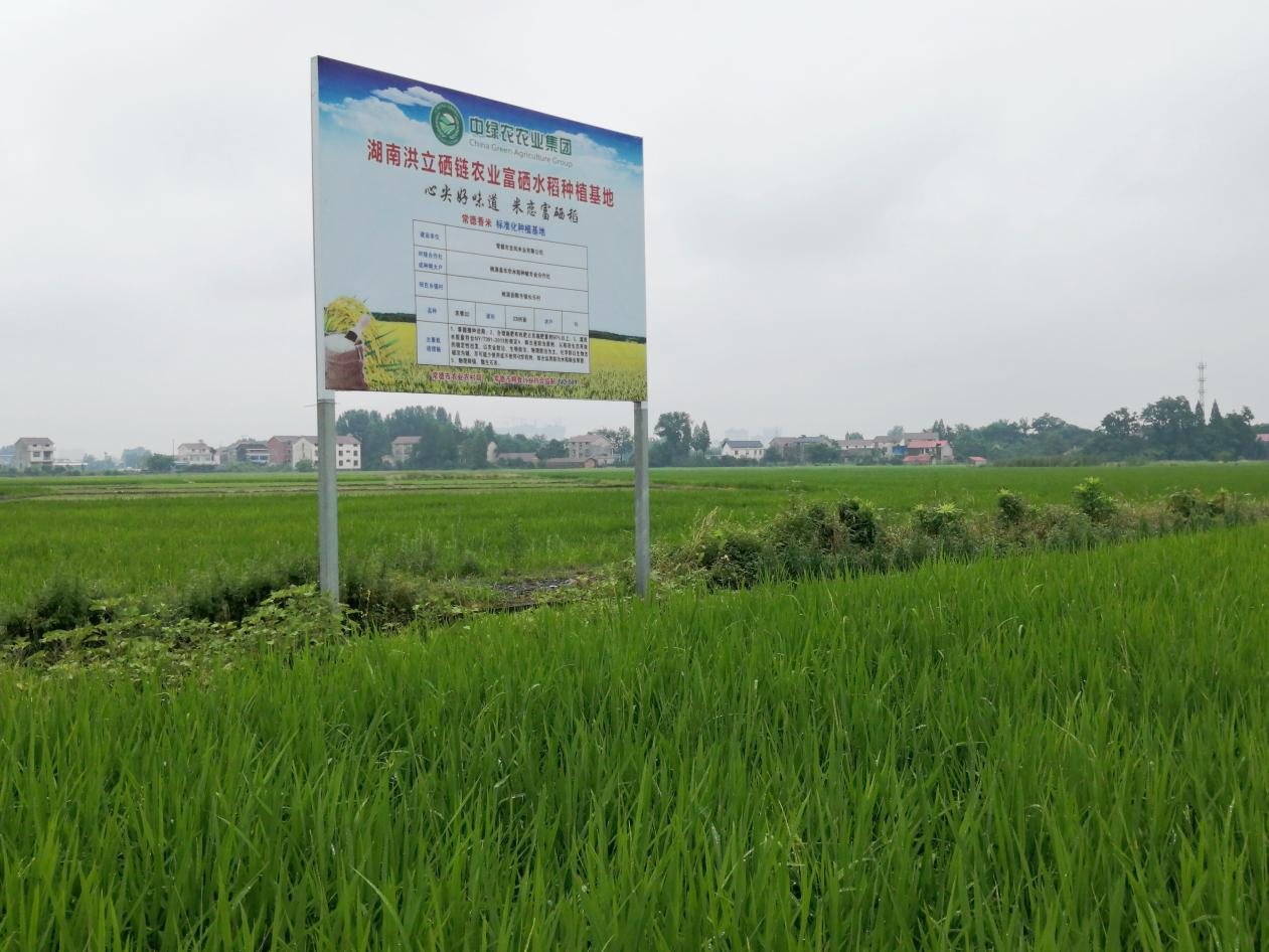 富硒农产业大有可为 湖北考察团到常德求取现代农业发展真经
