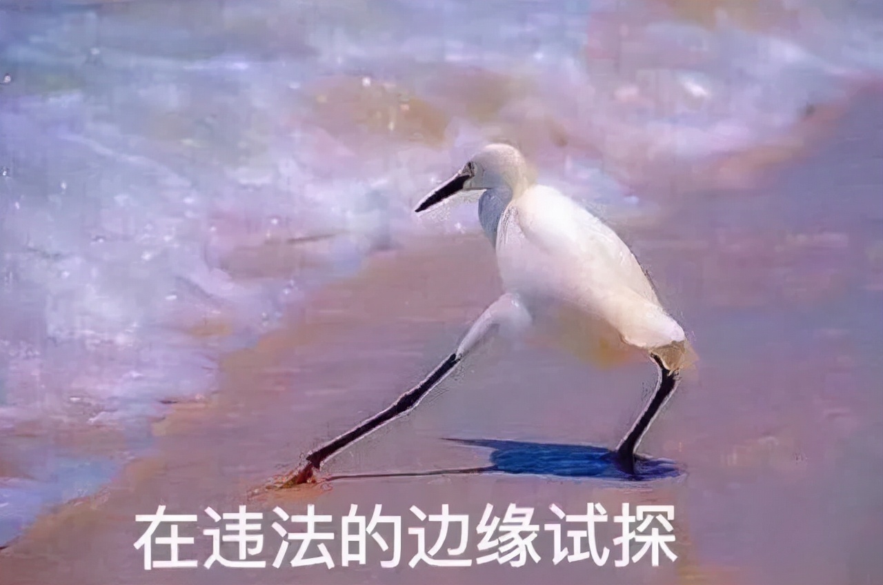 用微信賺錢的小心了，這些操作全都被禁止