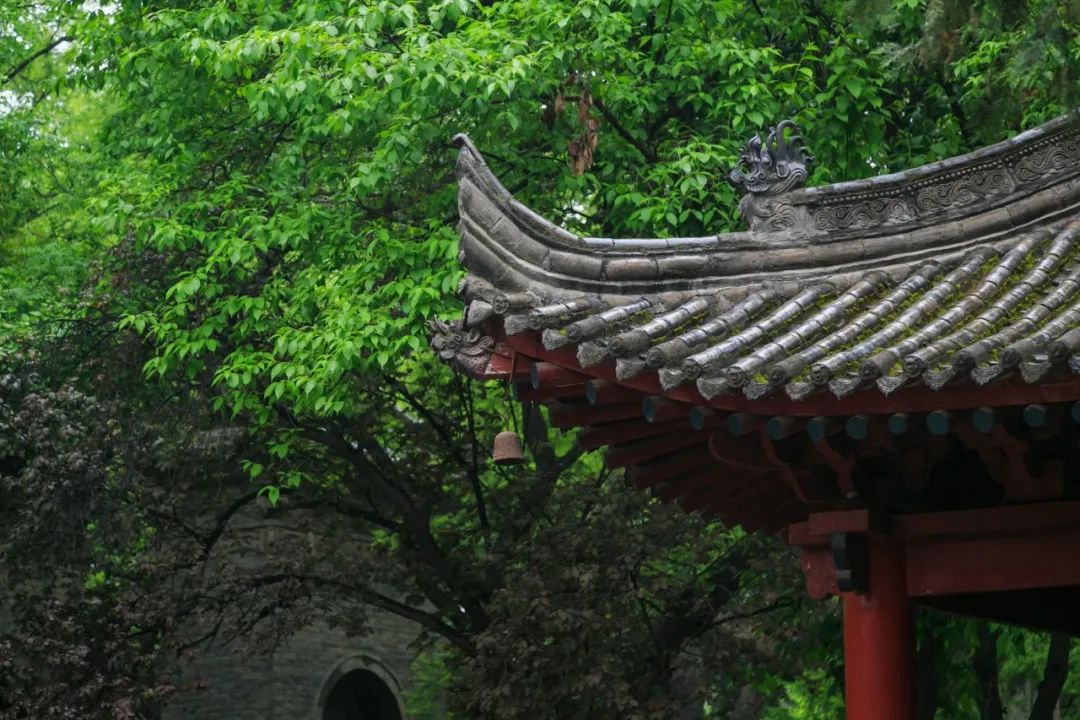 24首夏雨诗词，洗去人间炎热，送来一夏清凉-第7张图片-非凡网