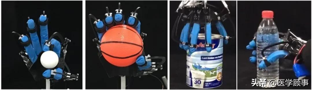 中國科學家首次研發仿生關節外骨骼模型，靈感來自波士頓龍蝦