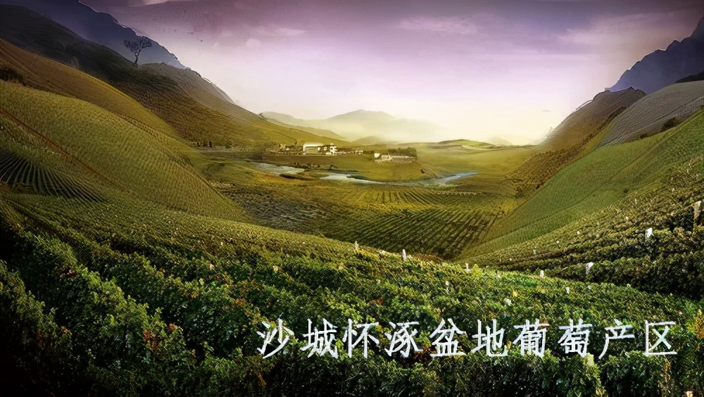 中國哪11個酒產地被納入《地理標志保護協議》