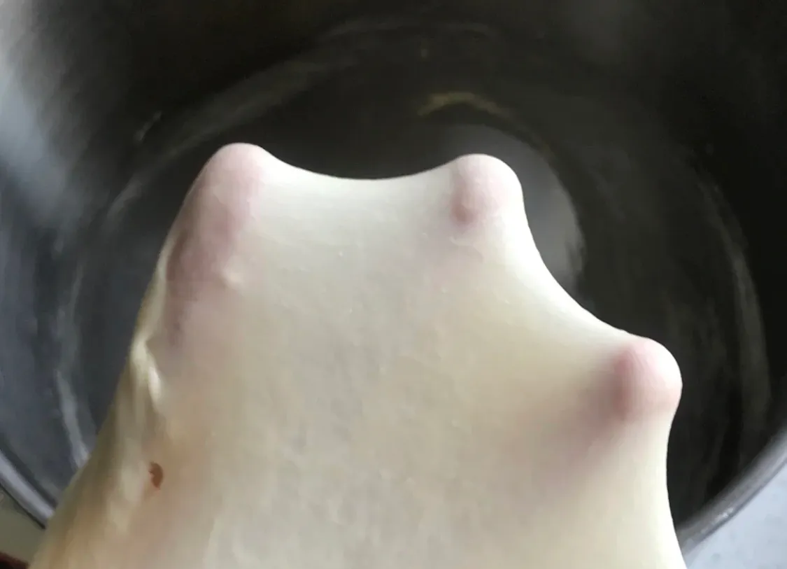 老人孩子都爱吃的椰蓉小面包 美食做法 第3张 老人孩子都爱吃的椰蓉小面包 美食做法 第3张