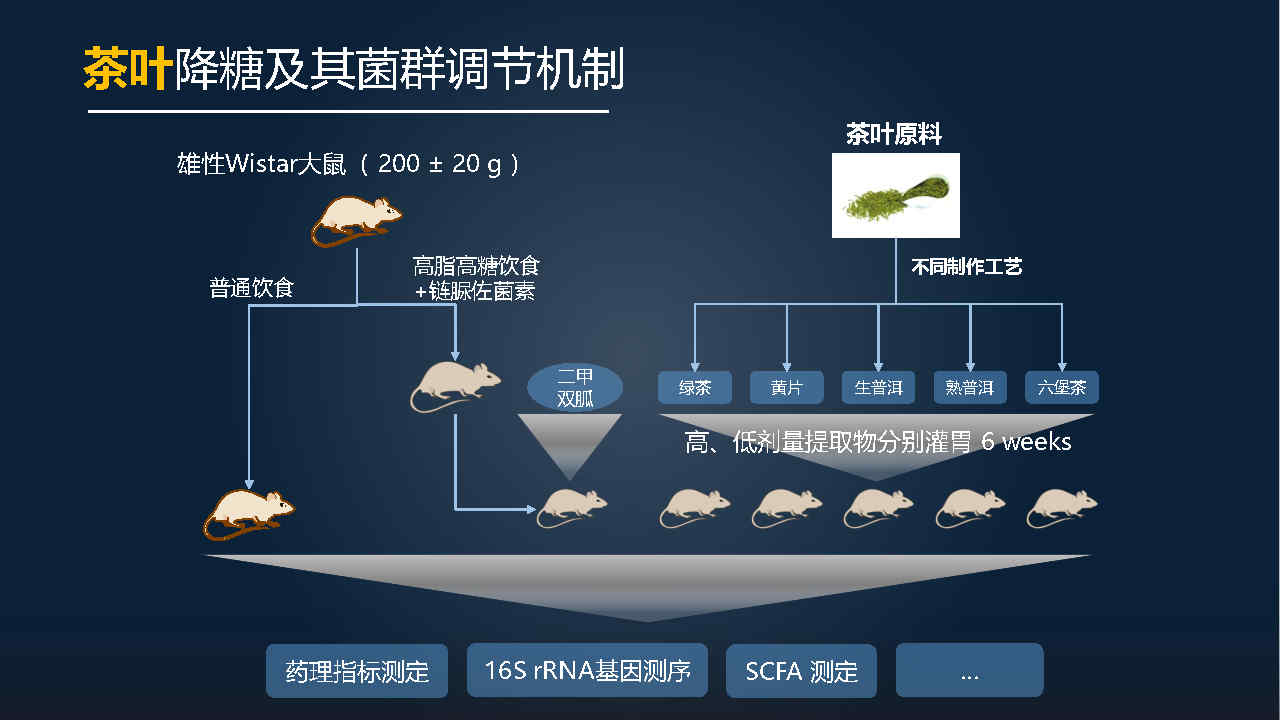 马百平：20分钟详解从有效成分到肠道菌群，中药如何突破？
