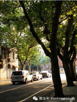 看懂上海：“神秘”康平路，长不到1公里，却是
