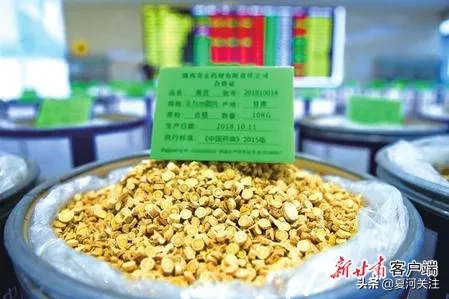 走向世界的“中国药都”——定西中医药产业实现全产业链发展纪实