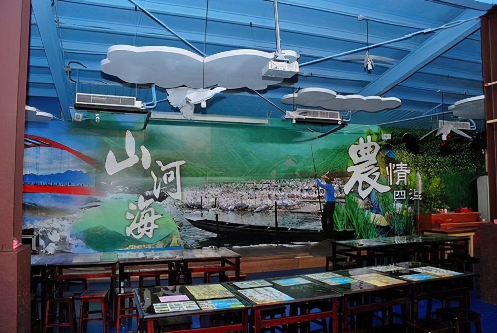 看完博士鸭，变成鸭博士