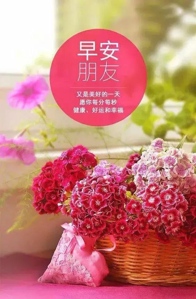 靠谁都不如靠自己的句子发朋友圈 从此不再指望任何人的说说图片
