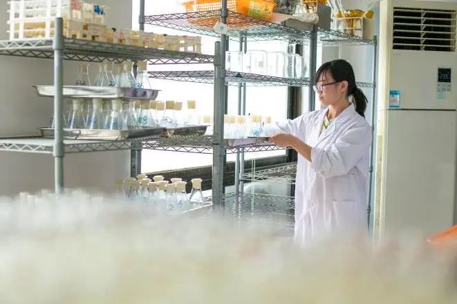 「商品检验」进口消费品选购需要关注啥