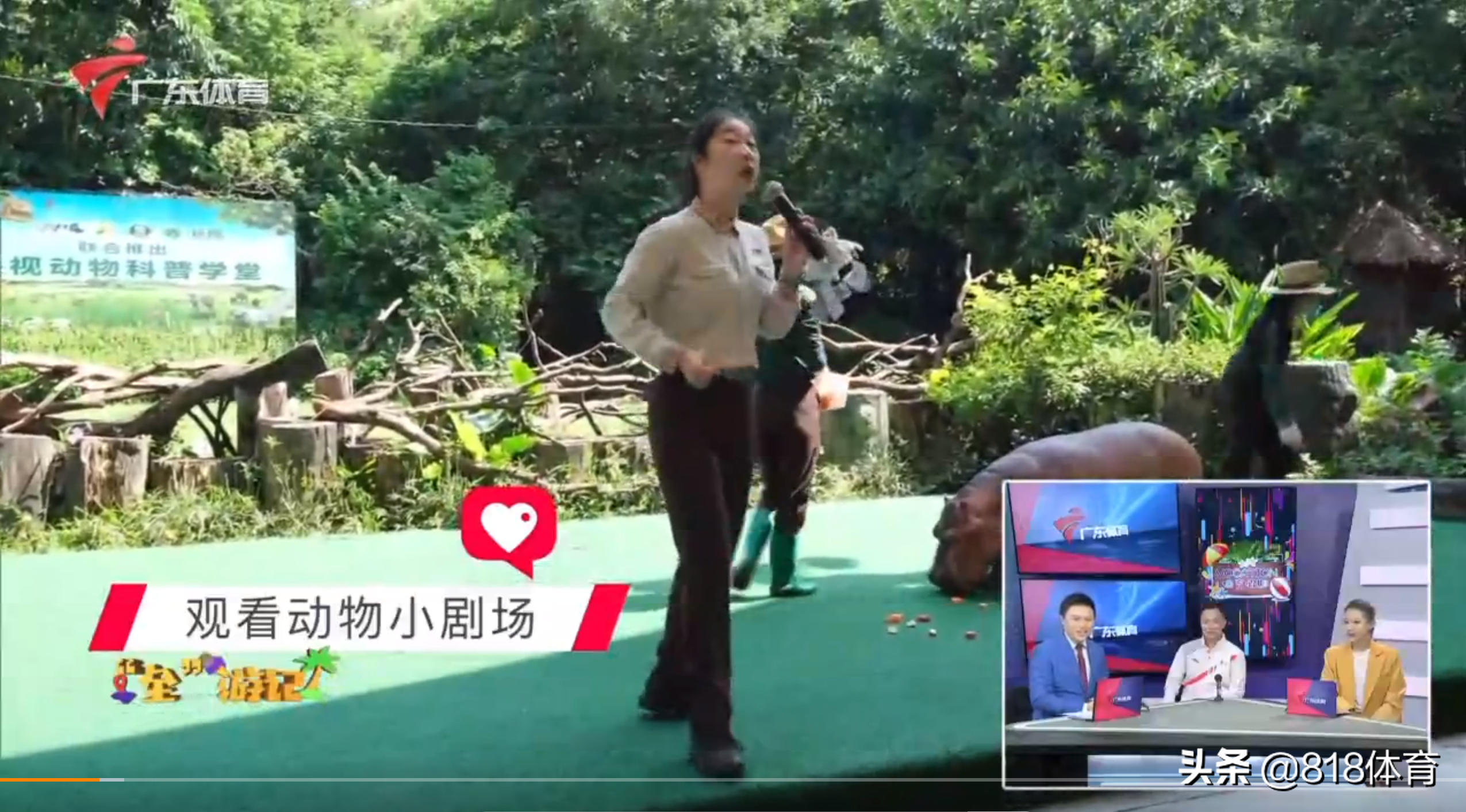 笑喷！全红婵喂大河马吃胡萝卜吓得一抖，给小河马洗澡搓泡泡萌翻