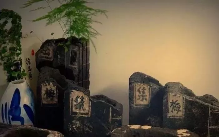 老磚老瓦收進小院,美絕了