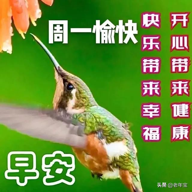 最新周一早上好表情图 周一早安暖心问候图片图片
