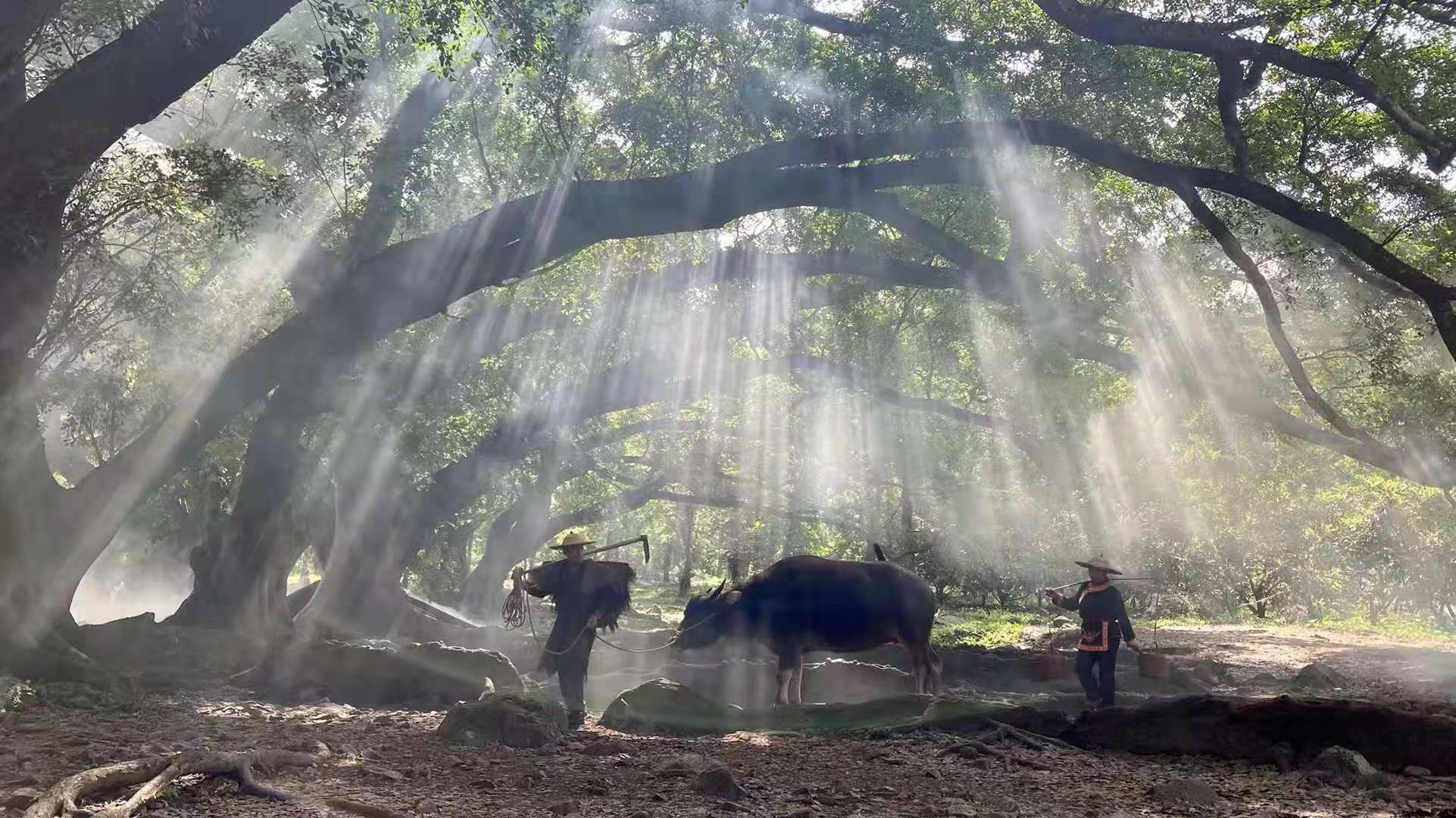 我们的霞浦路线图：光影栈道、东壁、杨家溪、赤溪、S弯、下尾岛