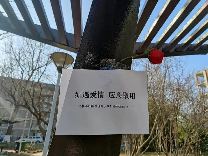 Atlas | Eider down takes the advantage that buys big drop, be clear at a glance with a ha is breathed out