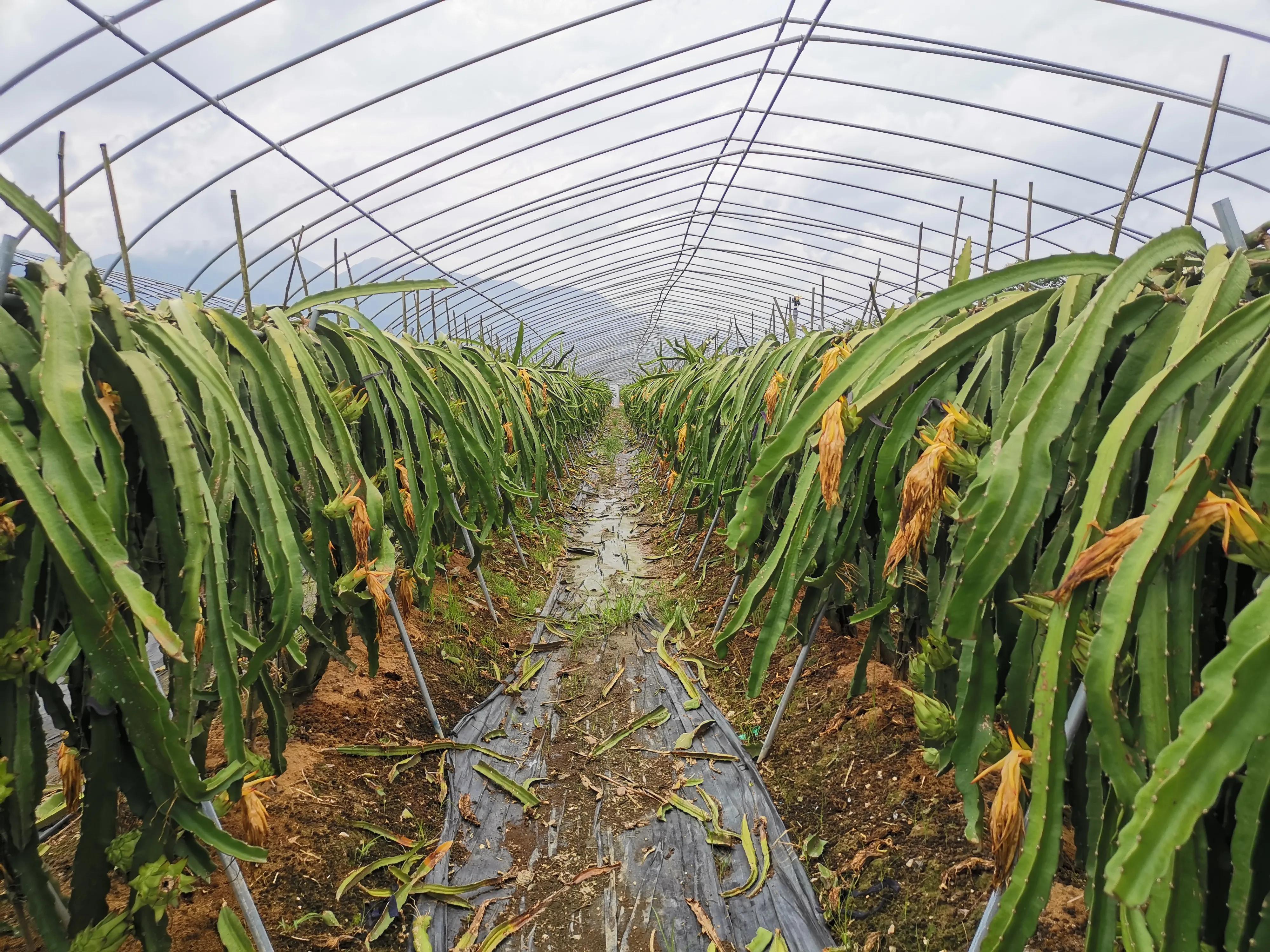 ������ɽ̨���߽��㽭�ɾӾ���Ⱥ�����չ����