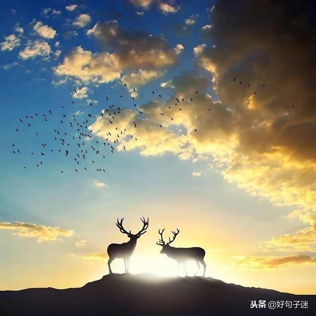很火很赞的心灵鸡汤，经典有哲理，静下心来看看！-第7张图片-非凡网