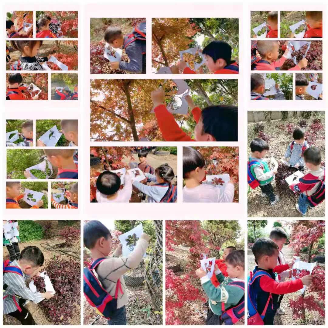 厚坡镇中心幼儿园户外实践活动