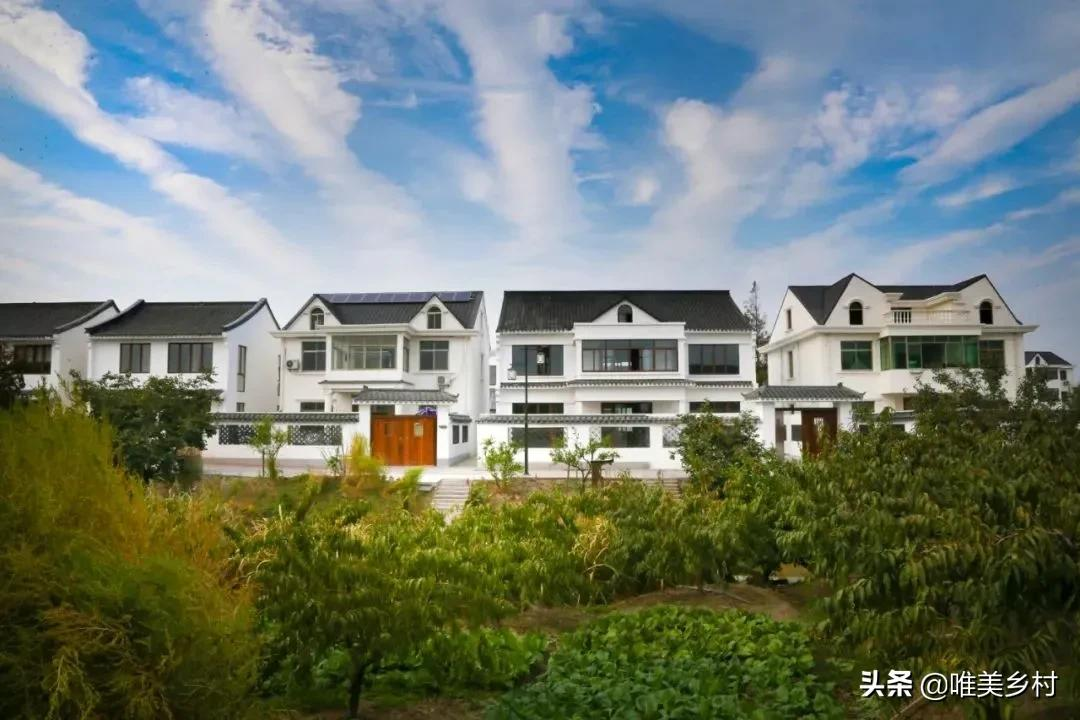 城镇化导致农村“空心化”！乡村振兴，五股返乡力量会回流？