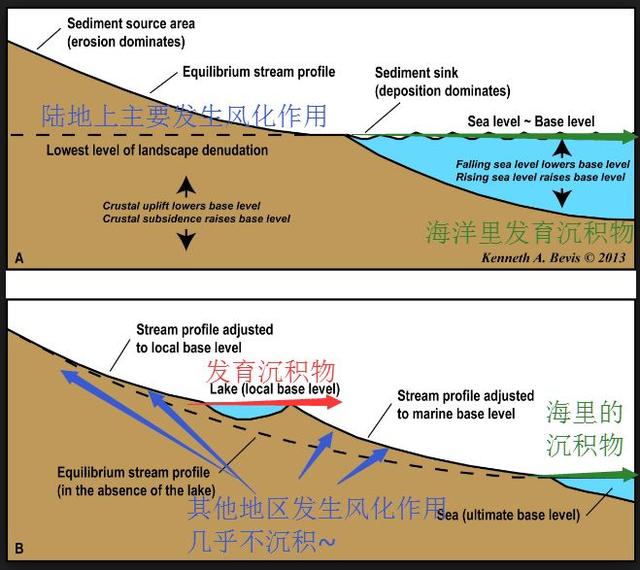 世界上最古老的精子被锁在琥珀里，距今一亿年，长度达12毫米