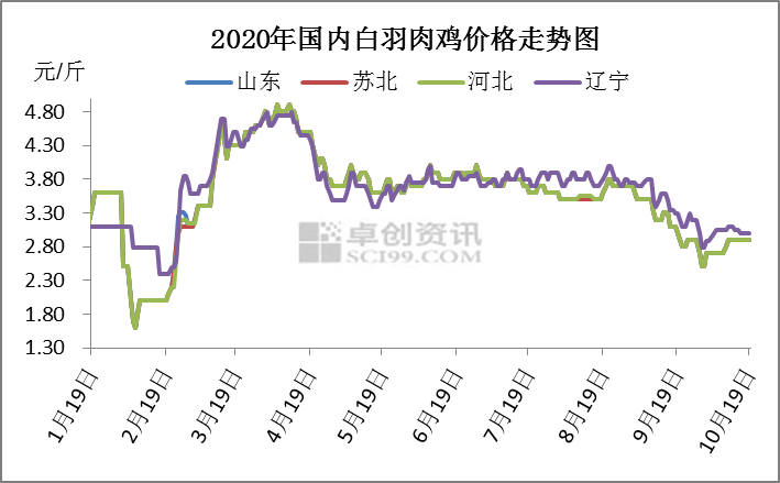 白羽肉鸡价格连稳超10天 鸡价到底涨不涨？