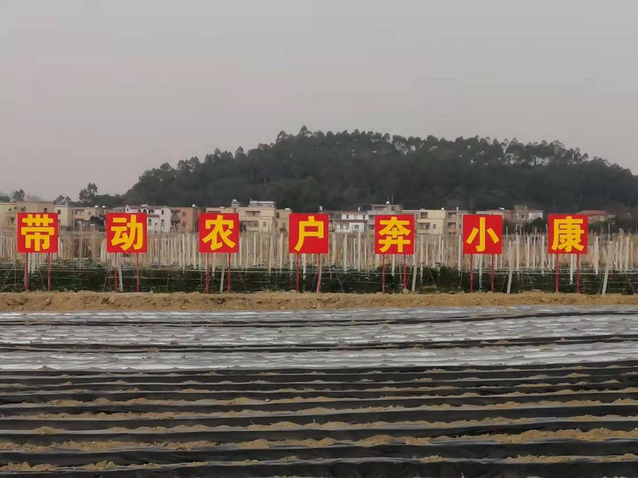 高质量打赢脱贫攻坚战 铸就英厚村乡村振兴梦