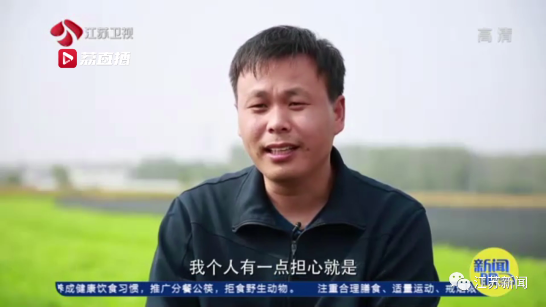 灌云“西瓜书记”第二次丰收，这次是芦蒿！小康路上，谁都不掉队
