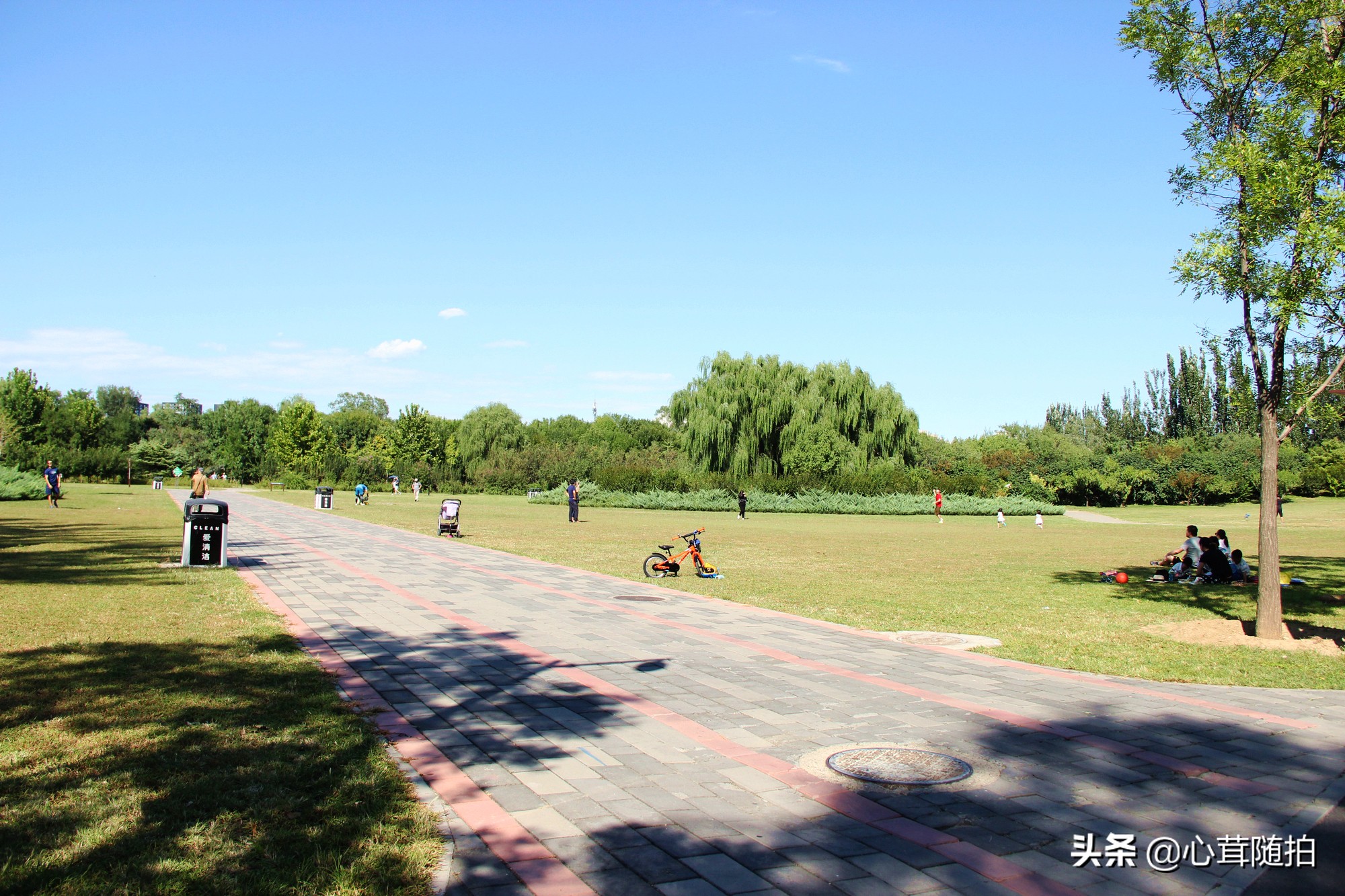 朝阳公园有什么好玩的这三个地方是孩子的乐园摄影爱好者的天堂