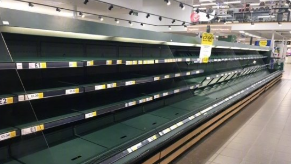 英国将焚毁10万活猪？英国人怒：没肉没奶，都快没饭吃了