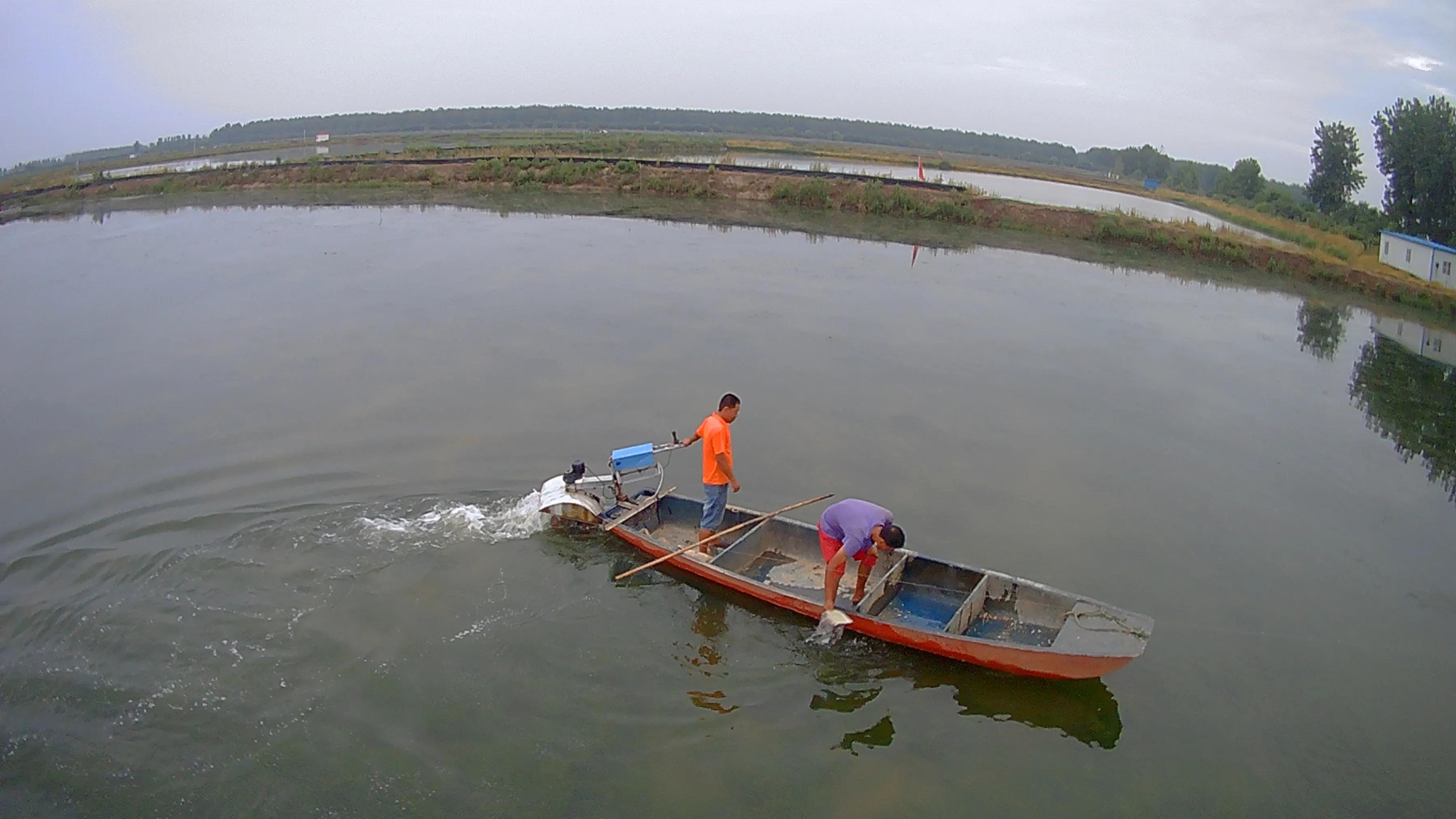 武汉知音故里（蔡甸)着力打造生态水产品金字招牌“品原生”