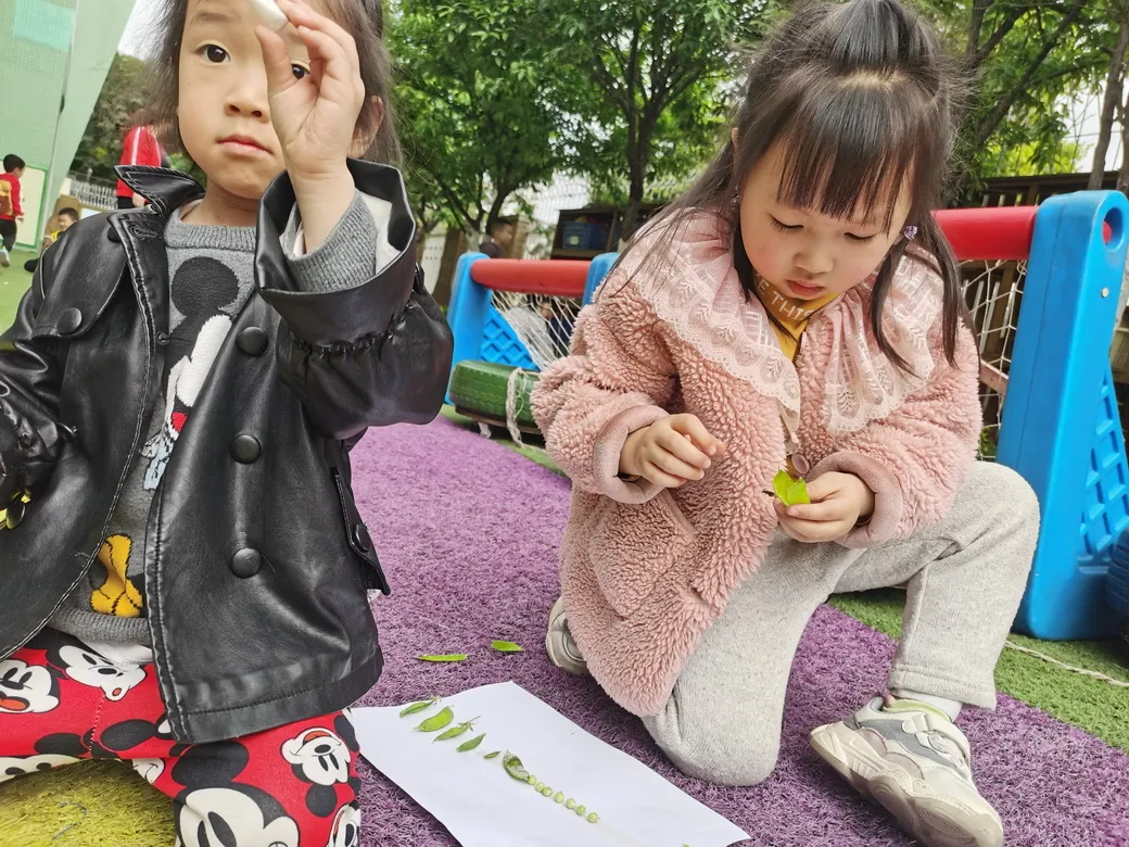 眼睛的秘密——四川天府新区华阳幼儿园南区小一班安全主题活动