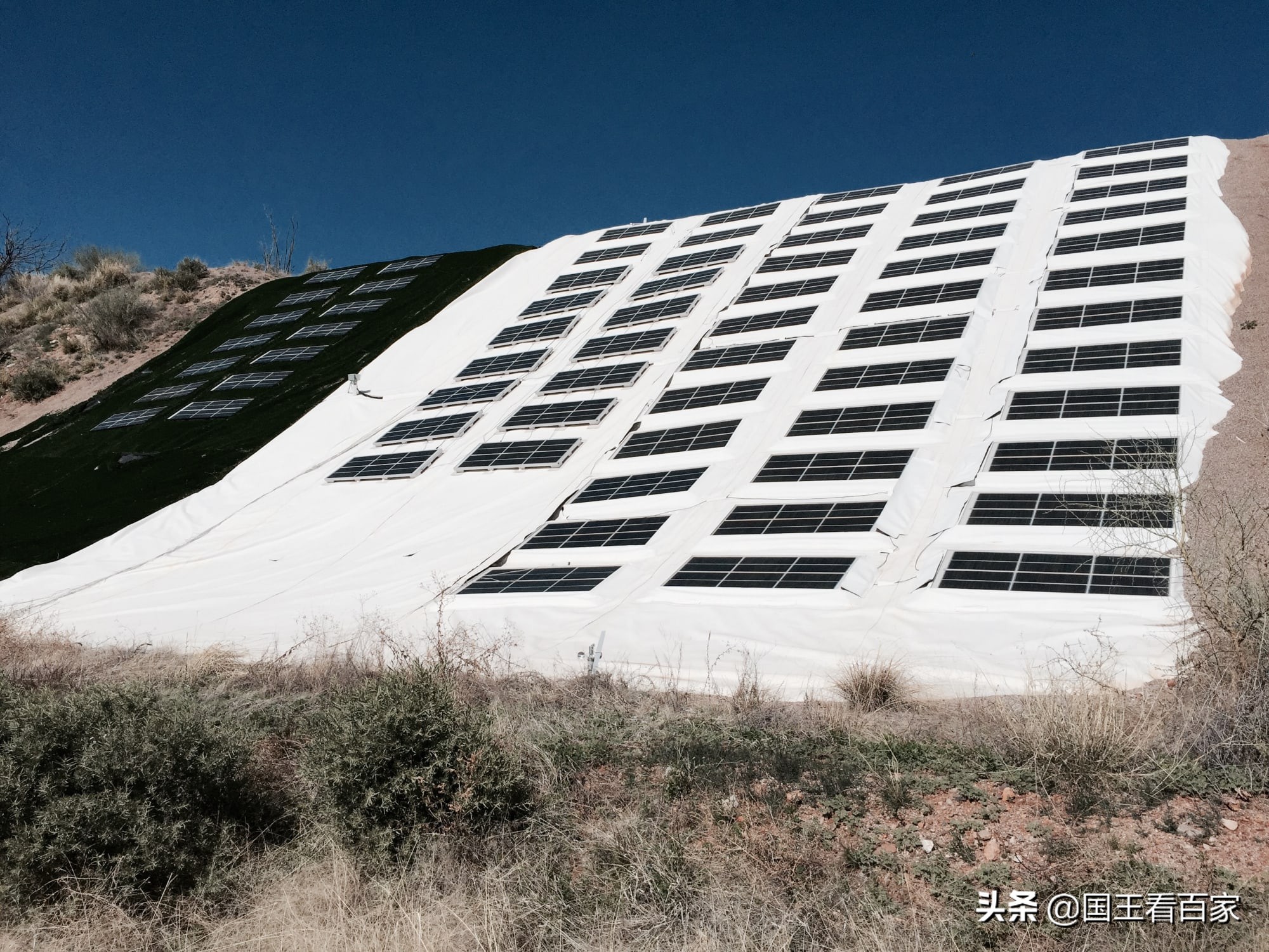 9年前，生物圈2号彻底失败，隔离两年，只为再造