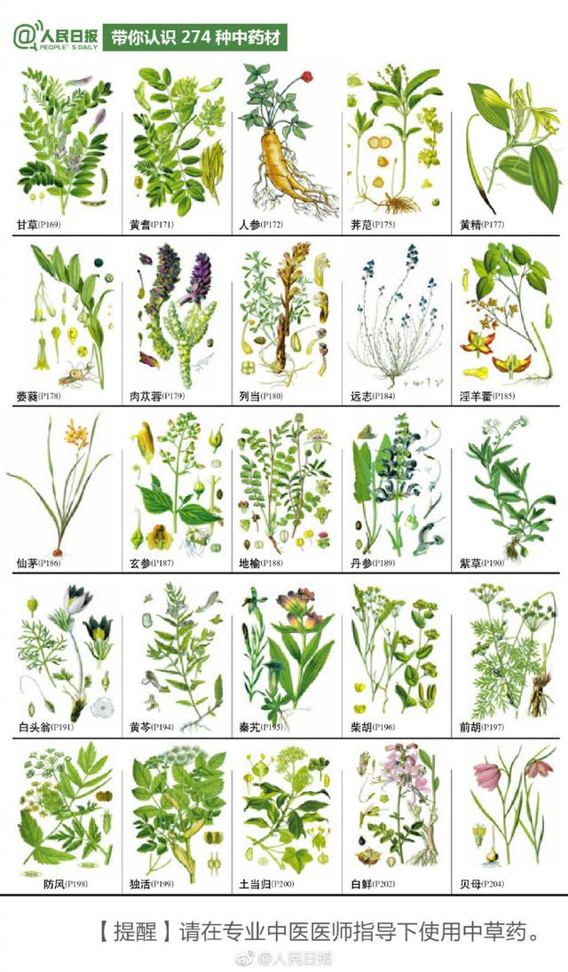 274种中草药材手绘图，值得认识收藏！