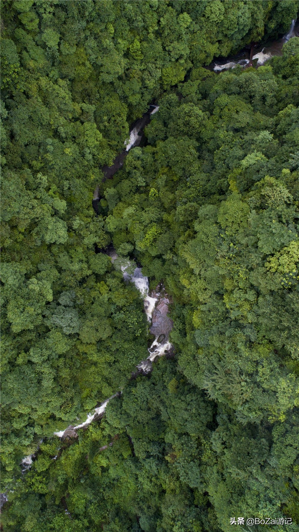 到四川雅安旅行不能错过的10大景点，有一处被称为中国仙茶故乡