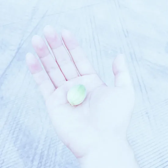 在艰难的日子里,收藏过的正能量句子