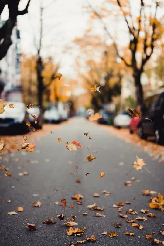 抑郁症成全球第二杀手，面对抑郁，我们能做什么？