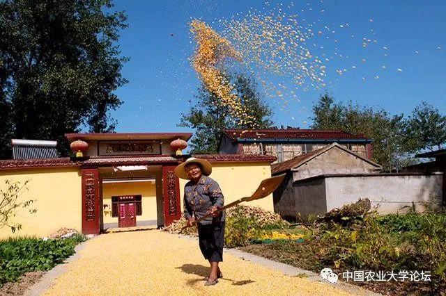 为什么山东像着魔一样花费巨额财力去合村并居