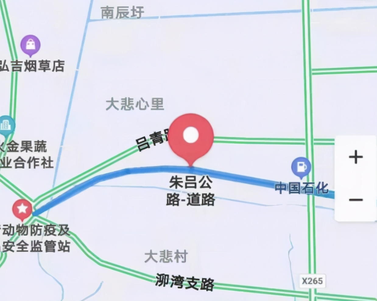 上海一条道路通车，长1568米，是金山打造的三条省省对接道路之一