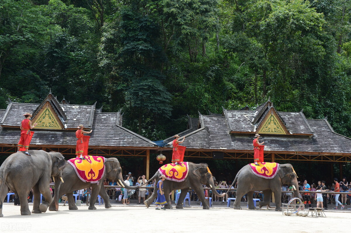 最適合帶孩子旅行的8個(gè)地方，戶外親子旅行，你帶孩子去過幾個(gè)？