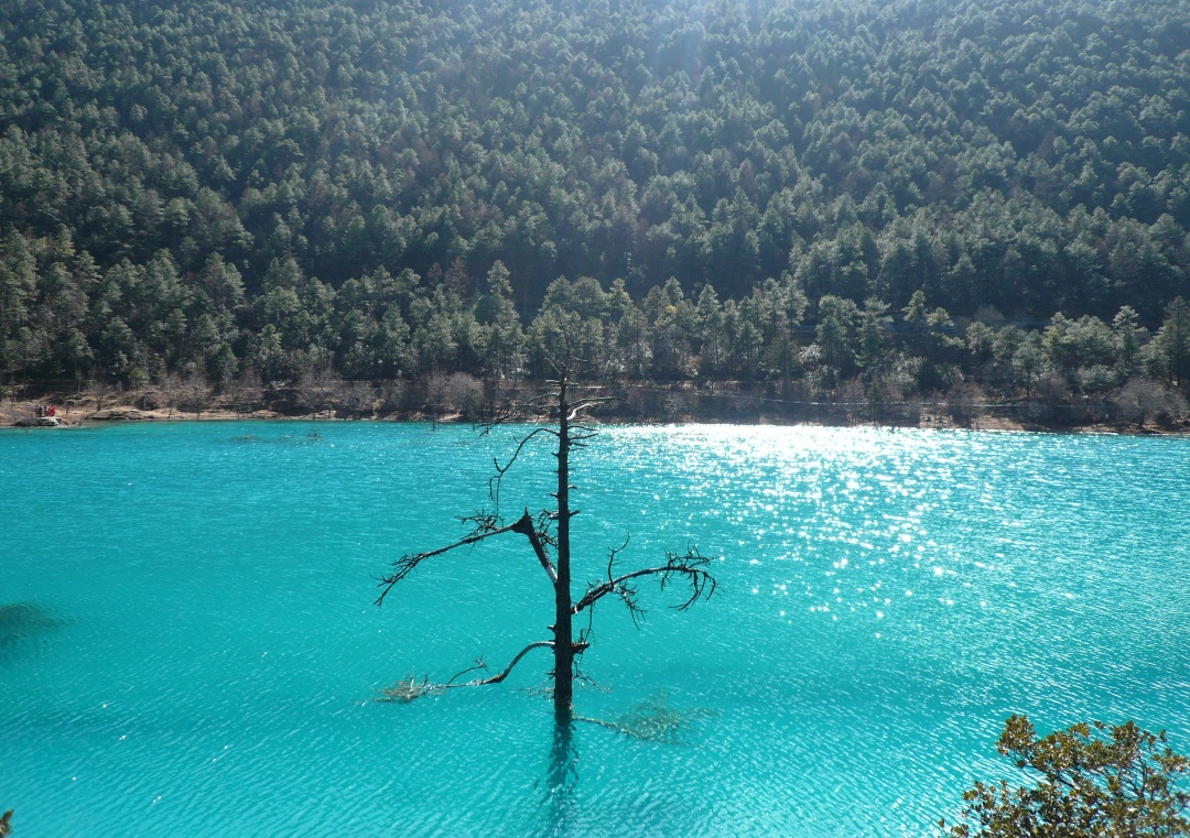 Coming to Lugu Lake will make people wonder if they are willing to forget the time and forget themselves in their dreams
