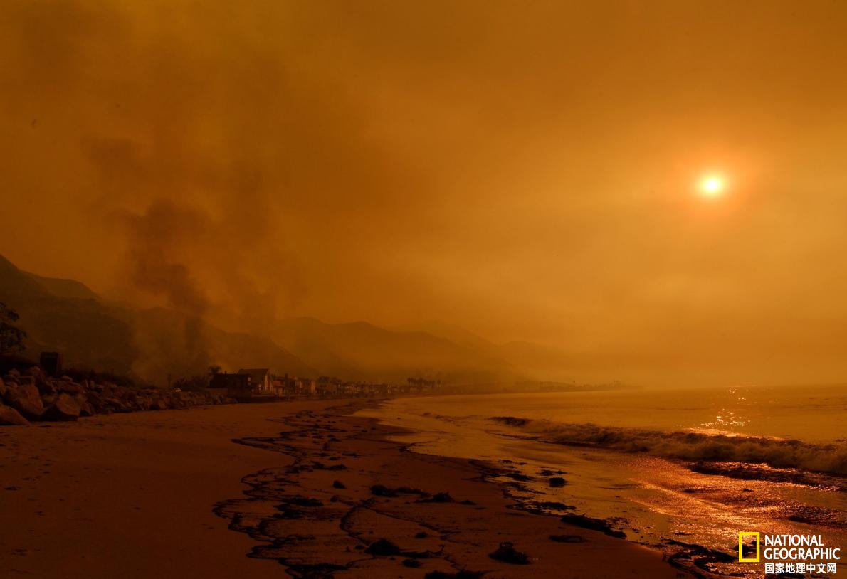 野火产生的烟雾可能危及鲸和海豚