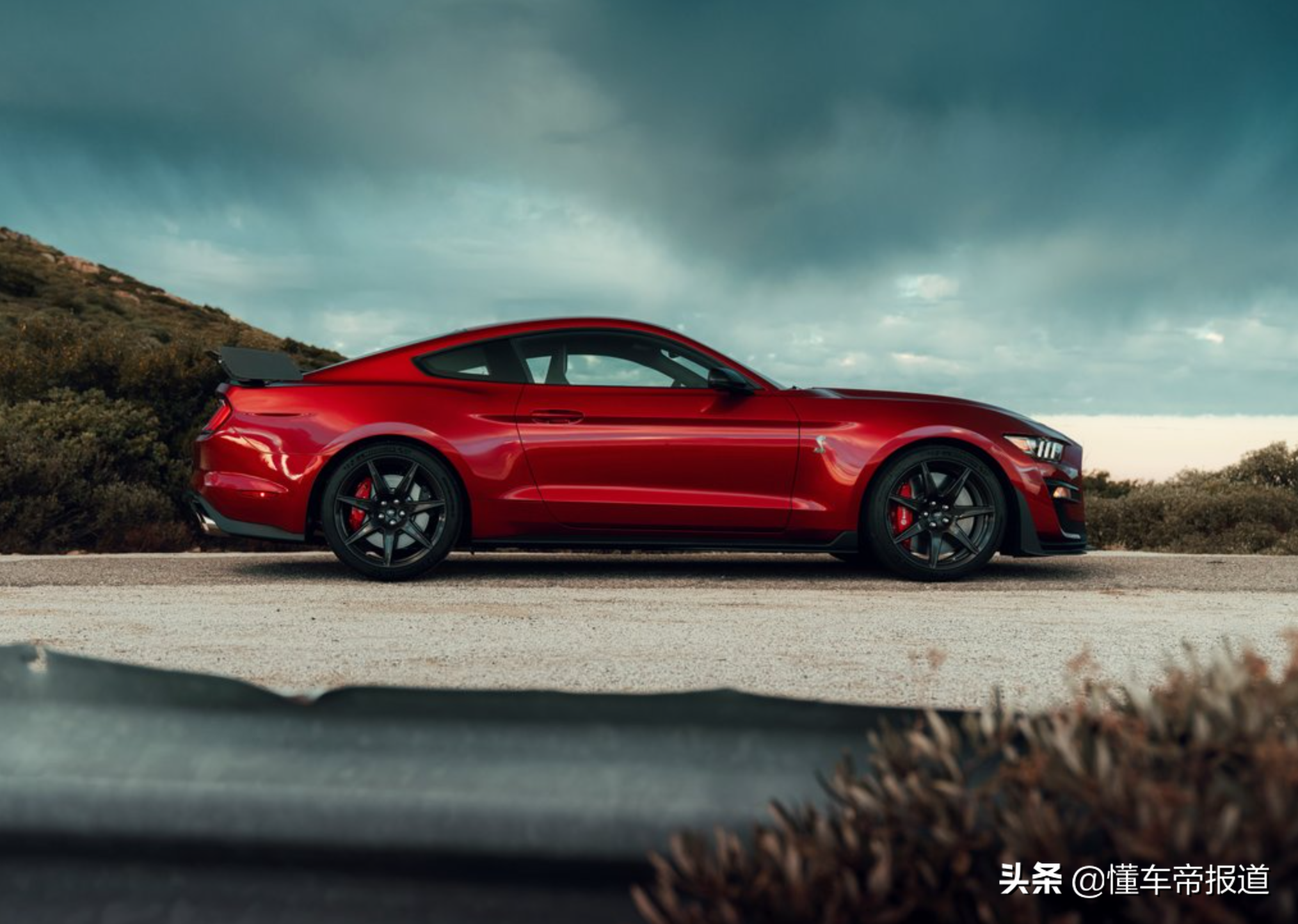 新车 史上最强野马 100万元起 福特mustang Shelby Gt500海外上市 读车号