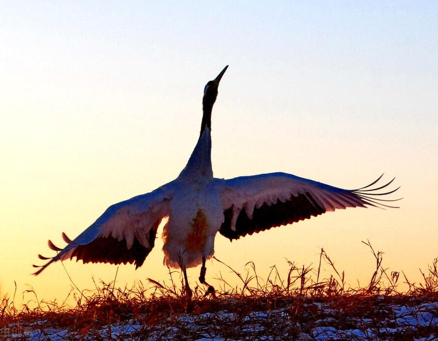 小故事之父母的故事2