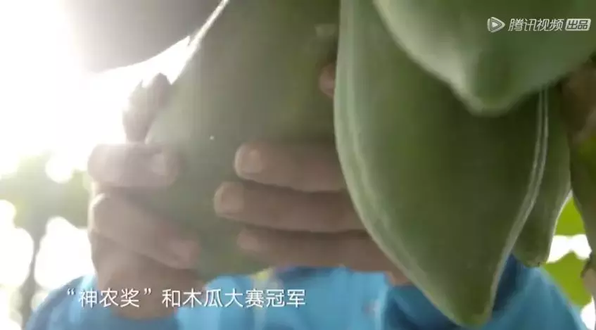 这部性感纪录片,竟然又上第二季了