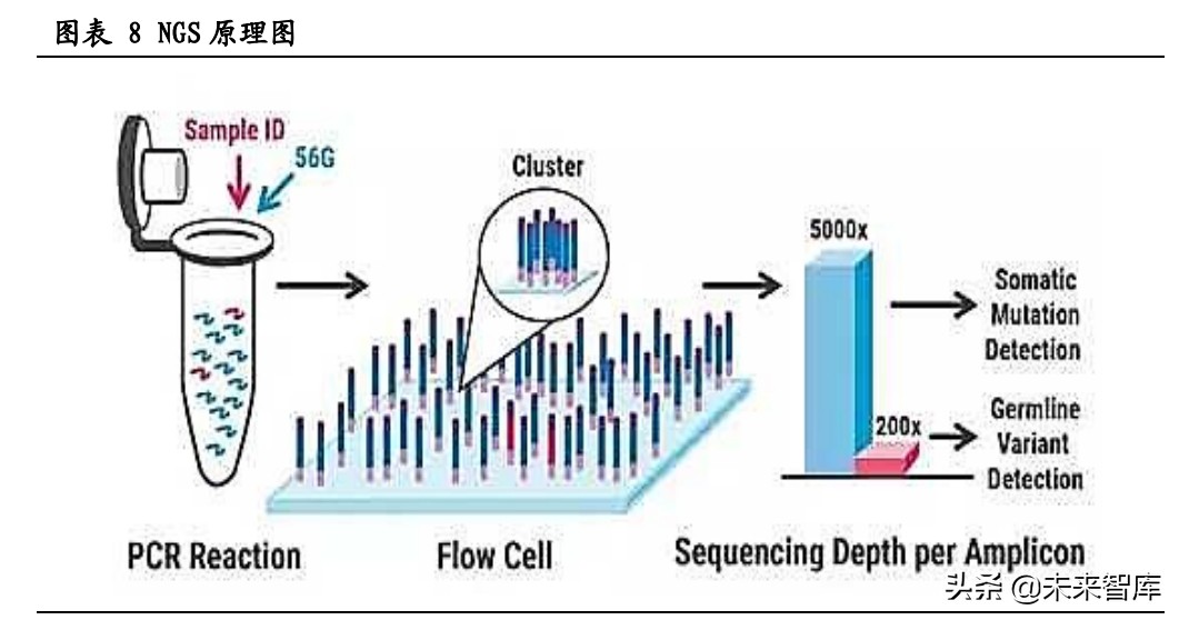 伴随诊断行业研究：核心技术突破不断，伴随诊断迎高速发展期