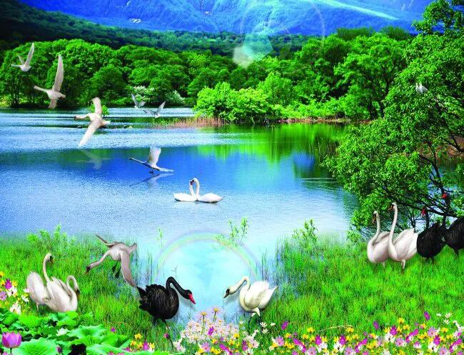 滿樹都是知了猴兒