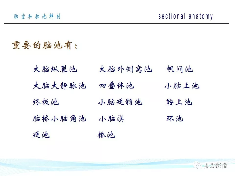 超全详解：脑池和脑室断层解剖