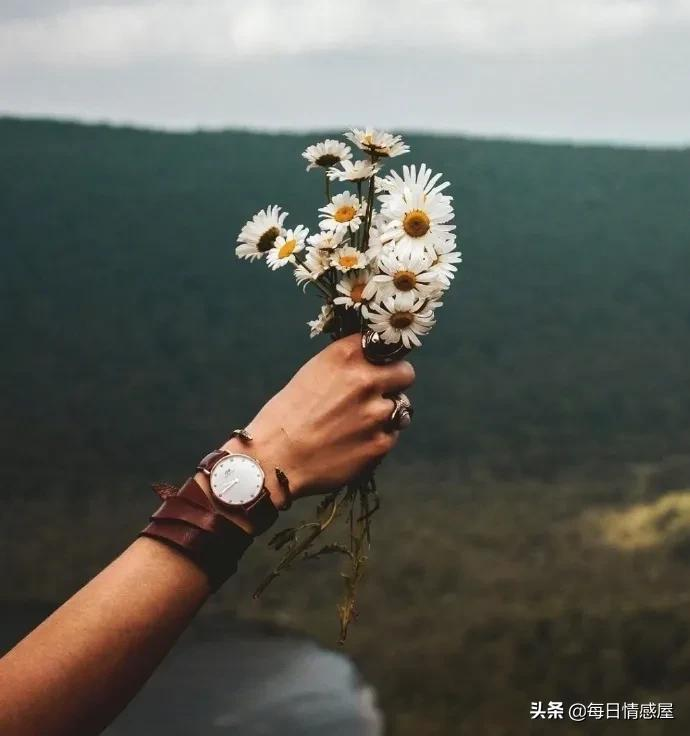 如阳光般励志的正能量句子